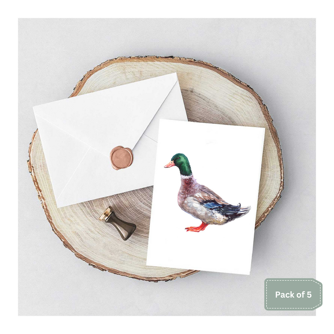 Pack of 5 Duck Notelet Cards